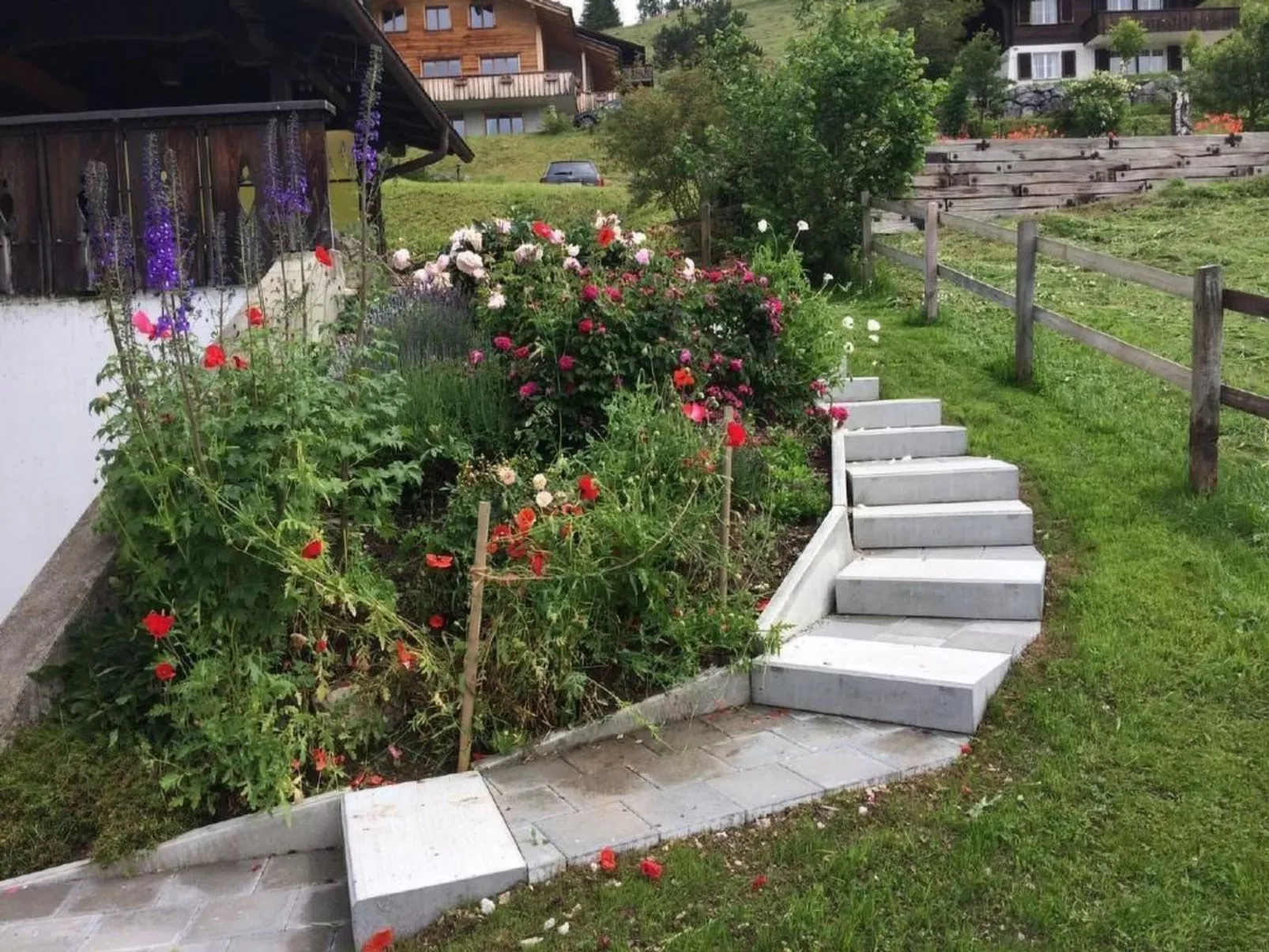 Datscha-Image-tags.info