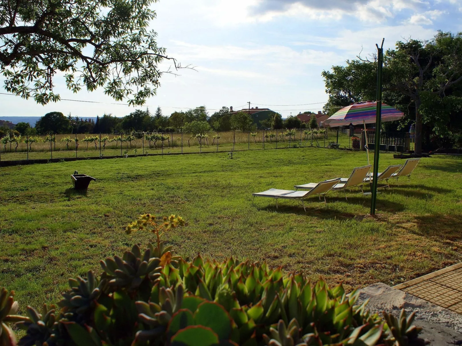 Charmantes Ferienhaus in Bartići mit Terrasse-Buiten