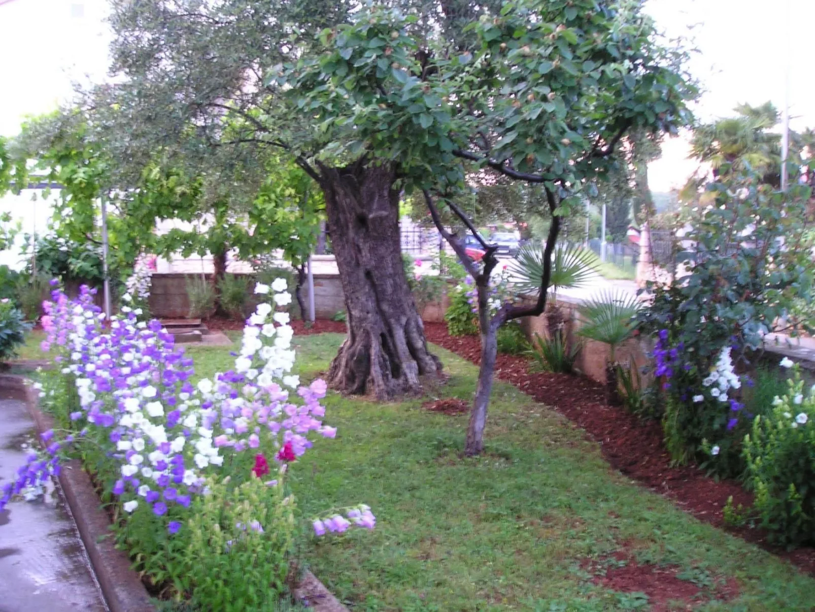 "Gemütlicher Garten" mit Terrasse-Buiten