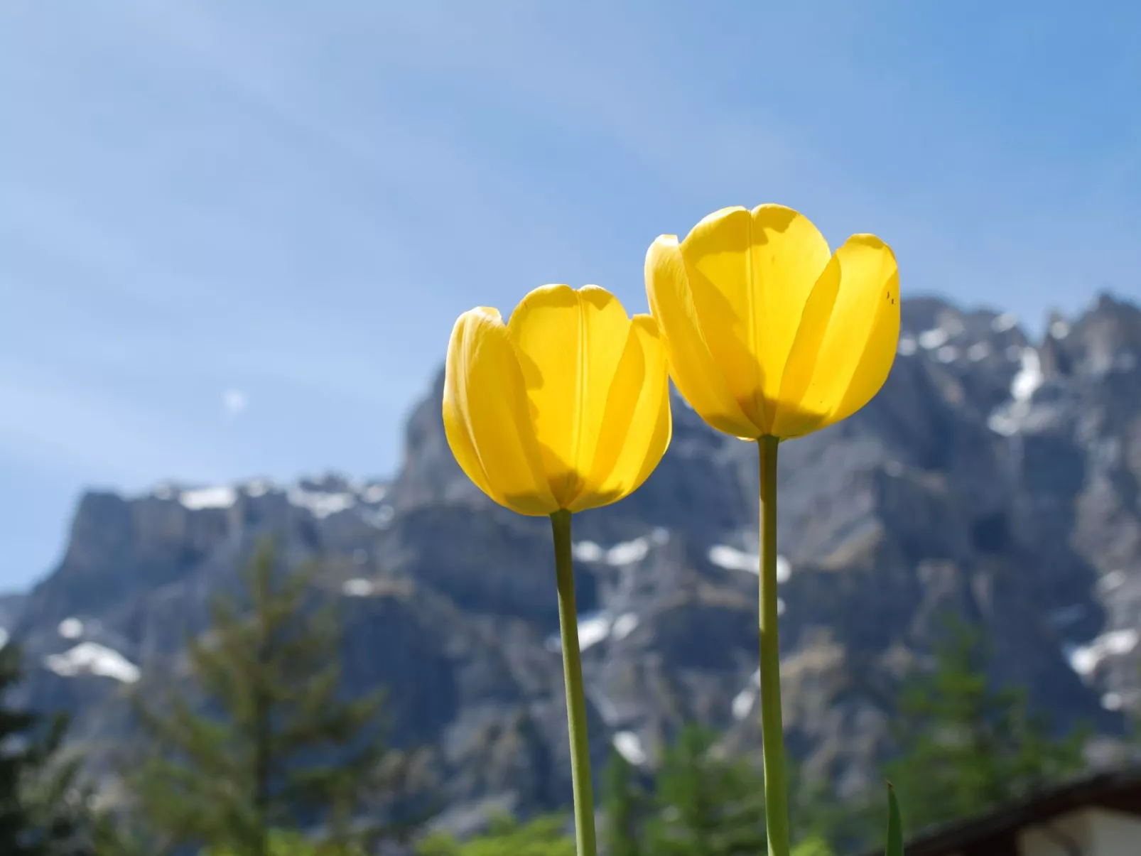 HAus Cristal Whg 61 - Buiten