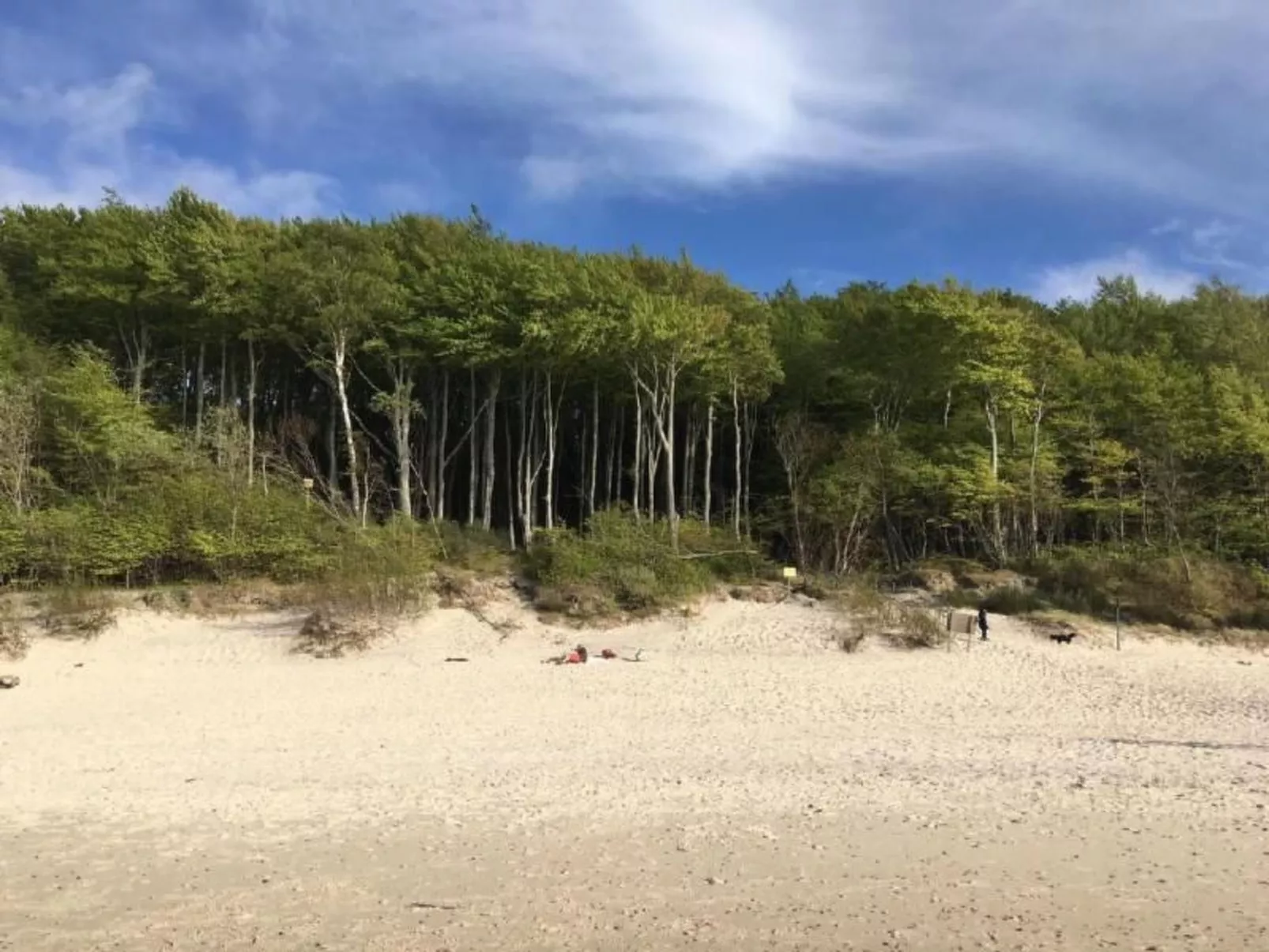 "Apartment 18B" mit Schwimmbad-Image-tags.info