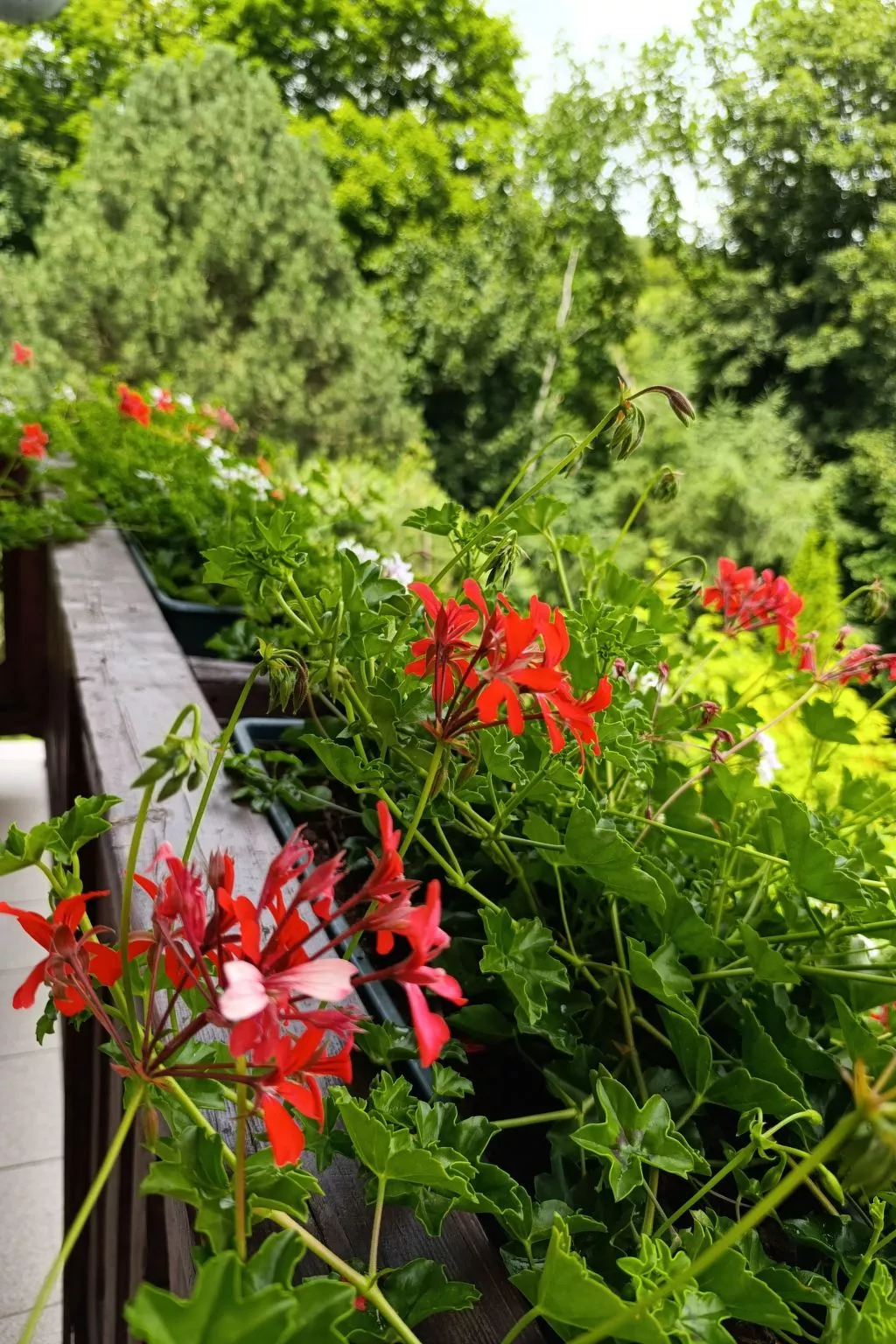 Wohnung Nr. 1-Buiten