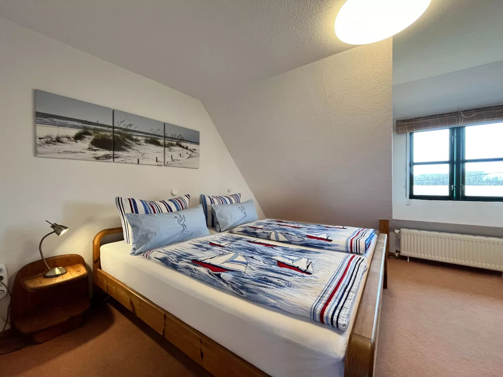 Gans in Ummanz-Lüßvitz-Binnen