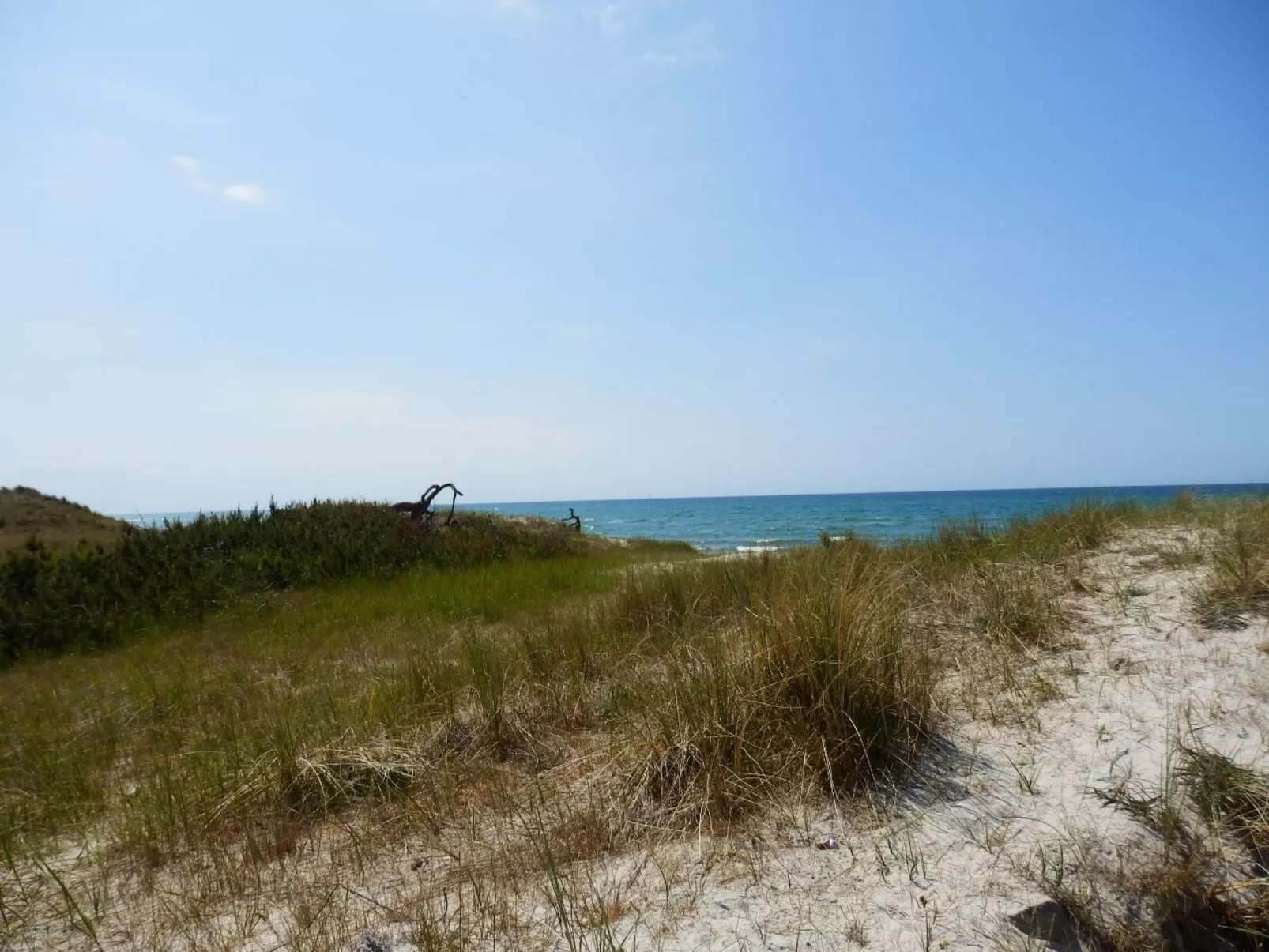 Wohnung Räuberleiter-Buiten