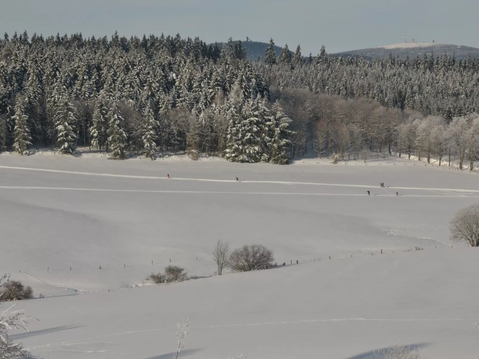Wohnung in Hohegeiß mit Grill und Garten-Buiten