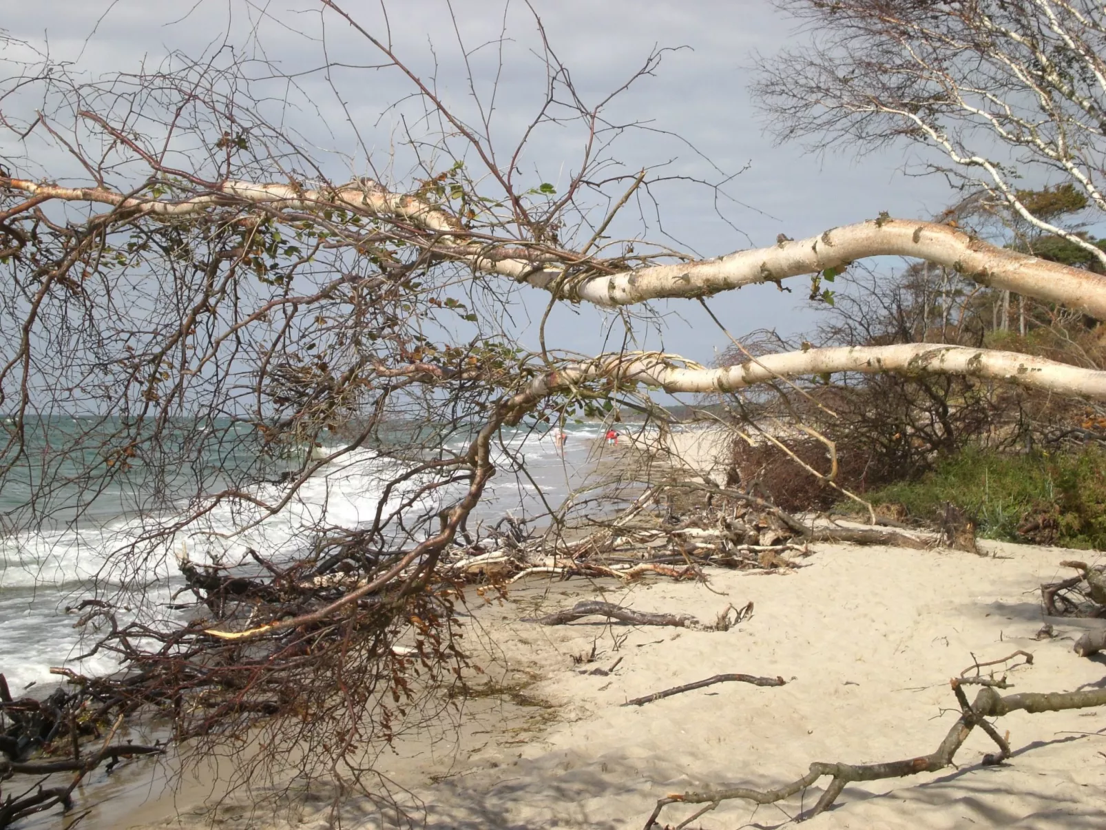 Appartement Achtern-Diek-am-Strand in Zingst-Buiten