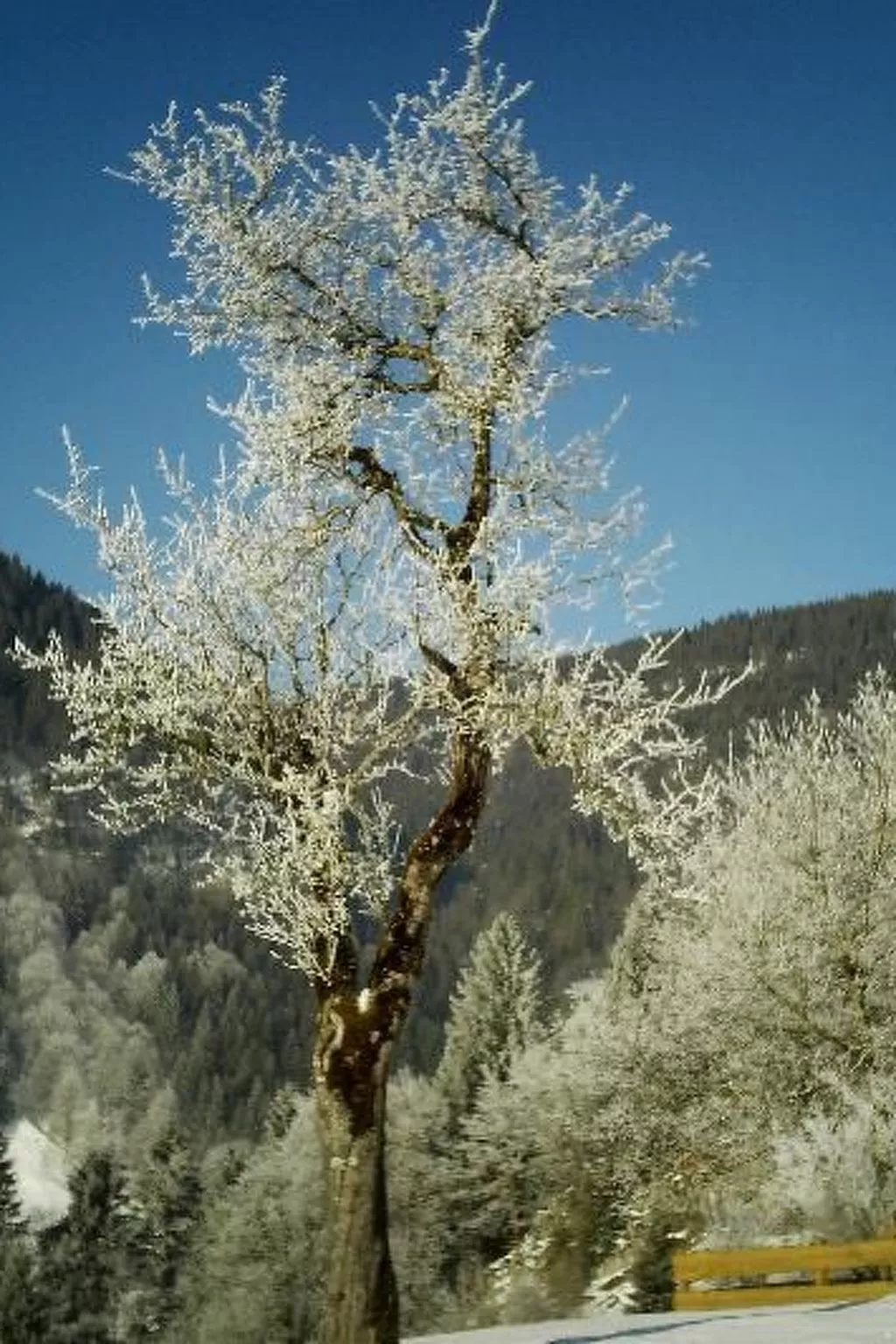 Falkenberg Wh 211-Buiten