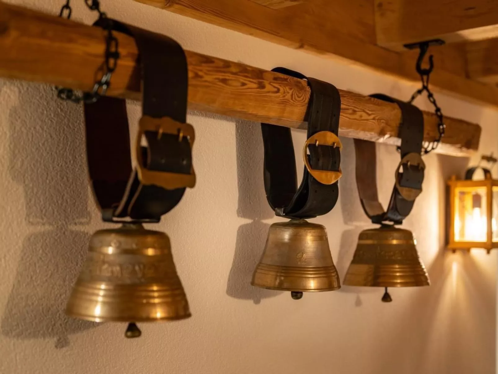 Engadin Chalet Apart-Binnen