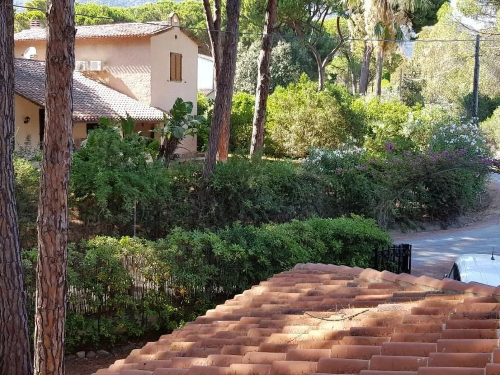 Mare e Pineta-Binnen