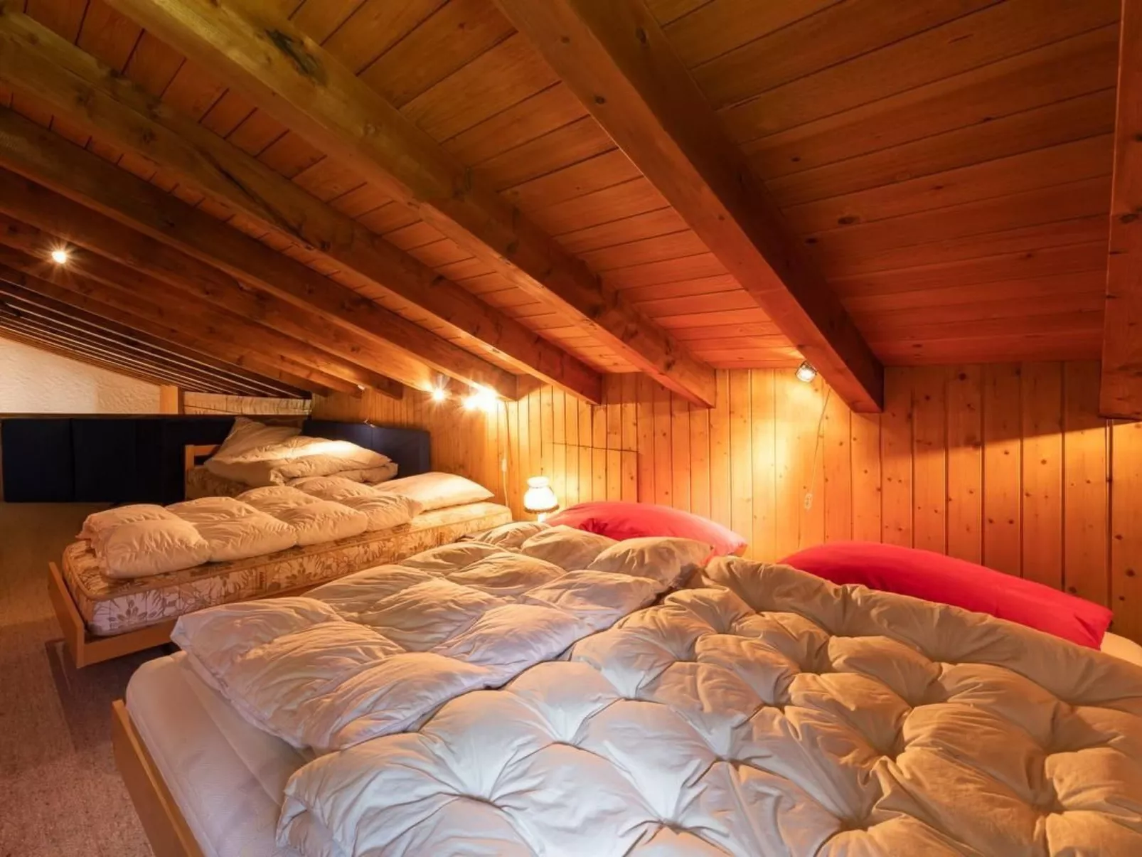 Wohnung geiger-Binnen