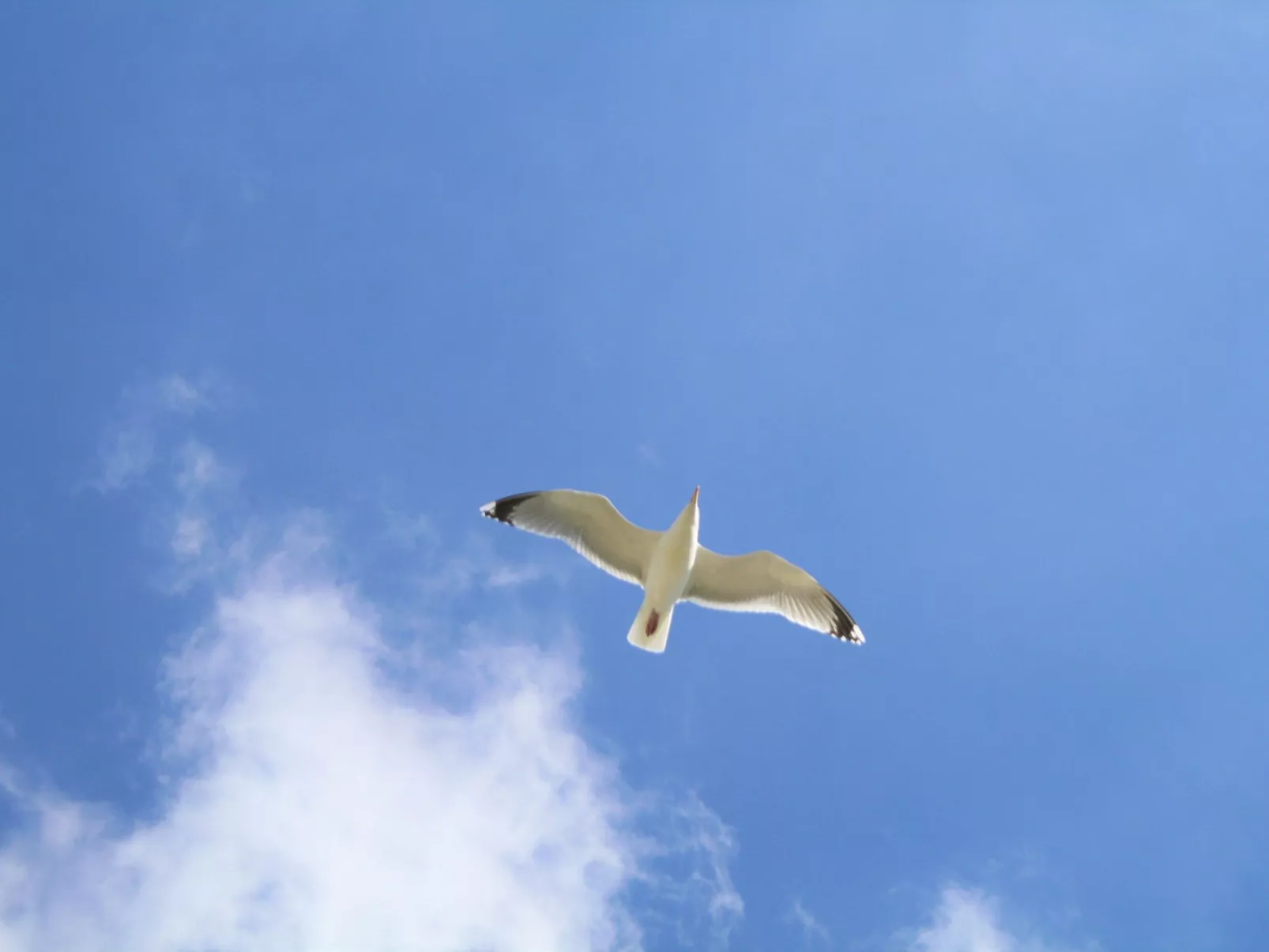 In Pilsum mit Großem Garten-Buiten