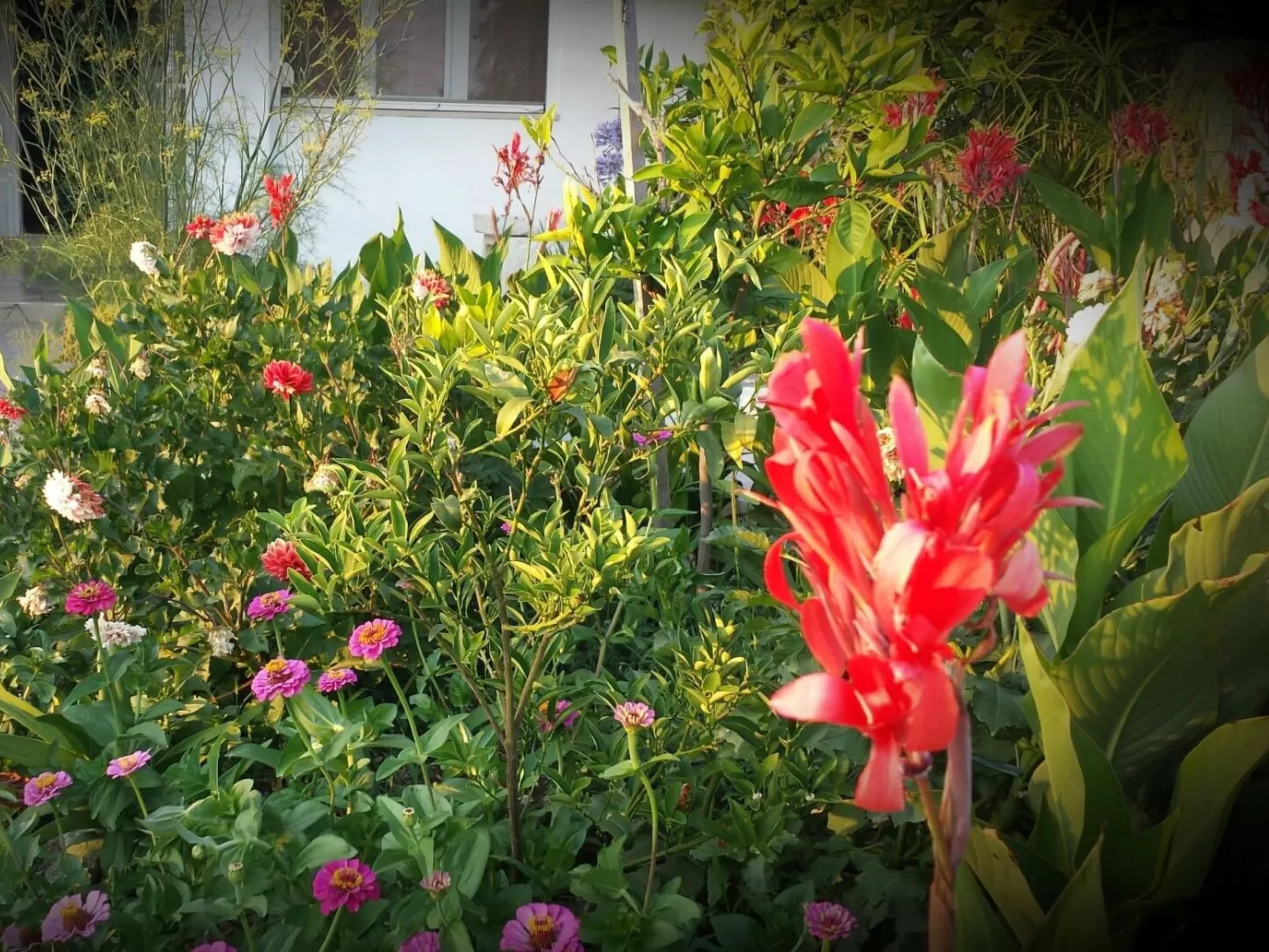 Unabhaengige Ferienwohnung in Sumartin mit Grill-Buiten