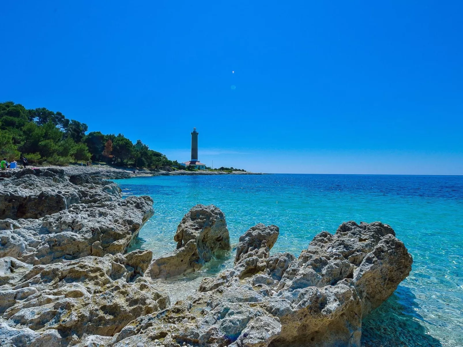 "Sakarun" mit Blick auf das Wasser-Image-tags.info