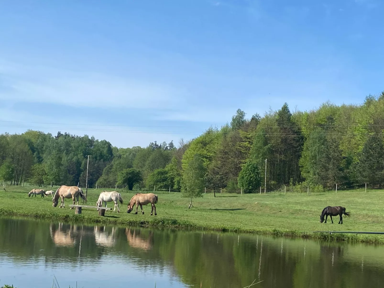 Alte Dorfschule-Buiten