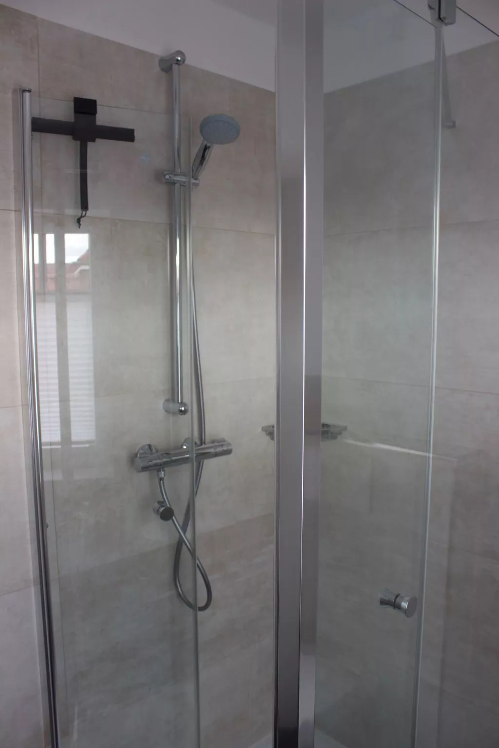 Strandflieder-Binnen