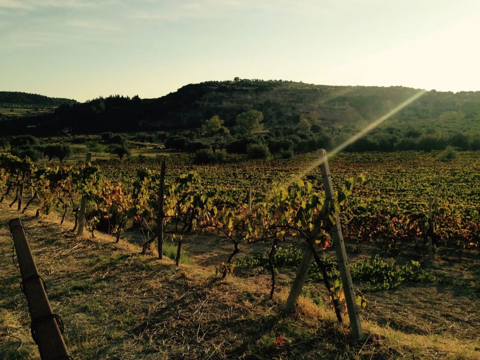 In Badolato Marina-Buiten