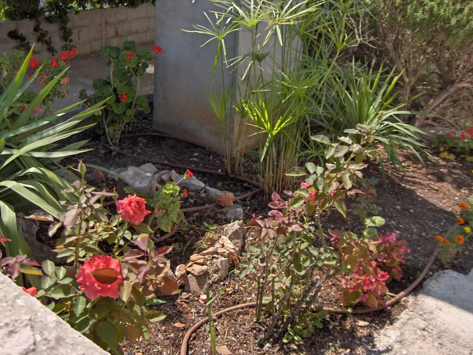 In Stari Grad-Buiten