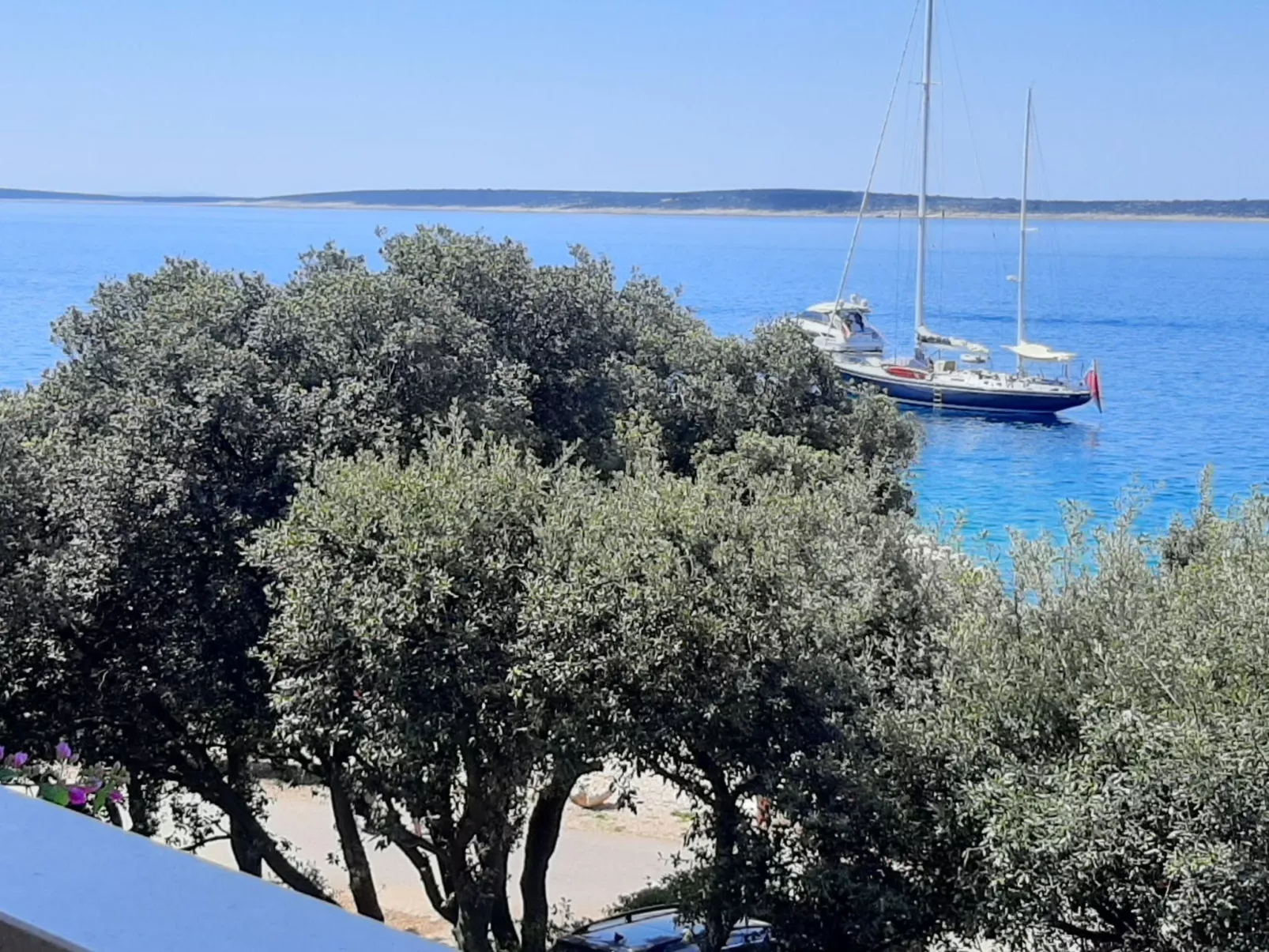 "Mia" mit Blick auf das Wasser-Image-tags.info