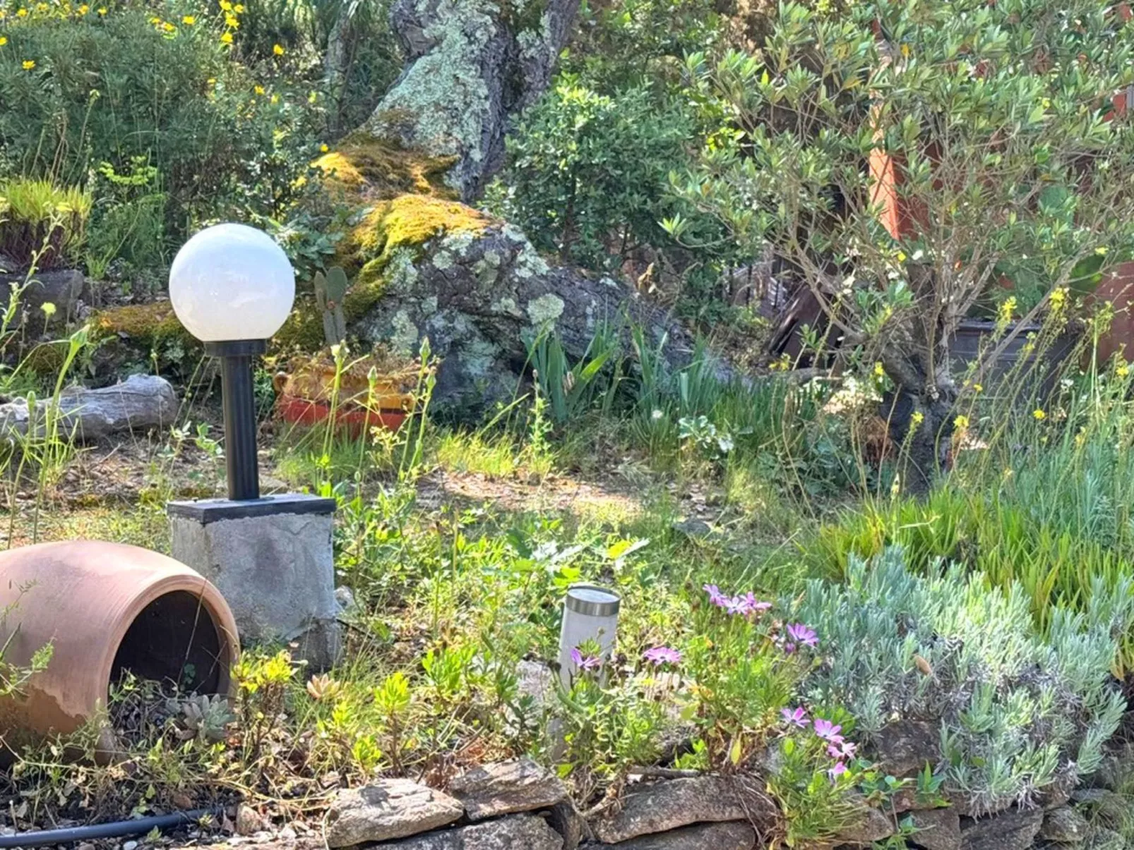 Schöne Villa mit innovativer Architektur in einem grünen Nest im Herzen des Mas-Binnen