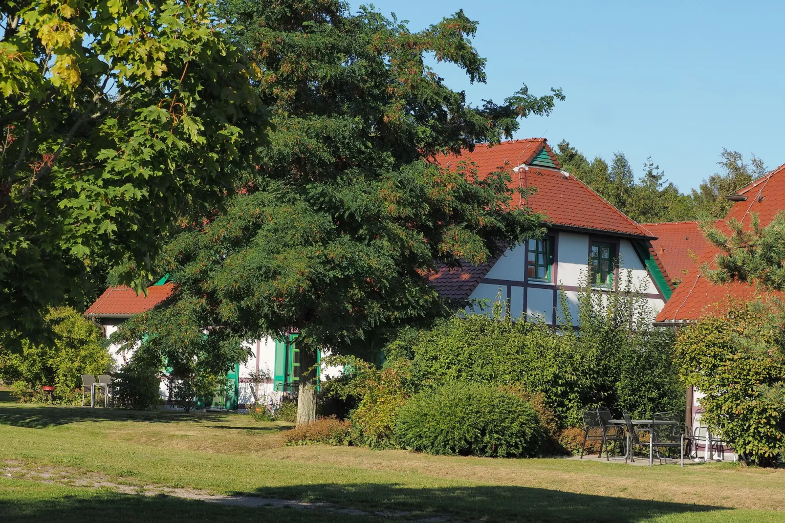 Typ E EG oder OG 4 Personen-Buitenkant zomer