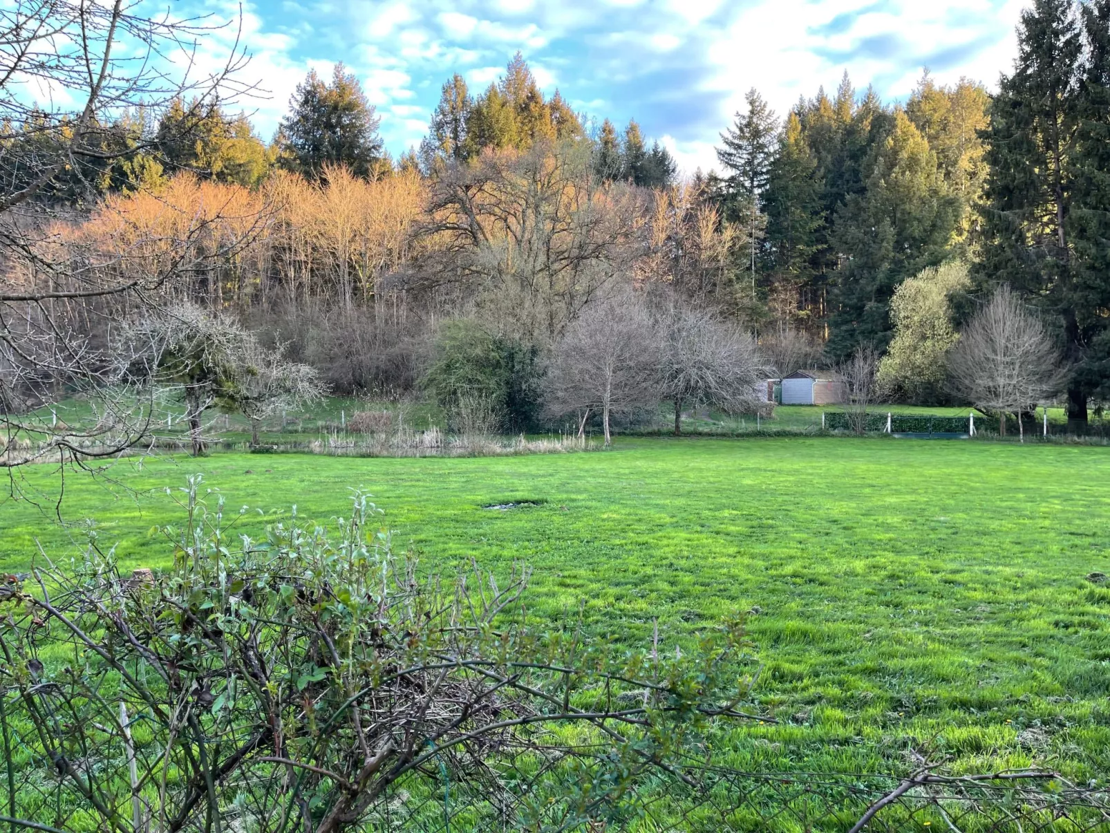 Für 6 Pers. mit eigenem Teich-Buiten