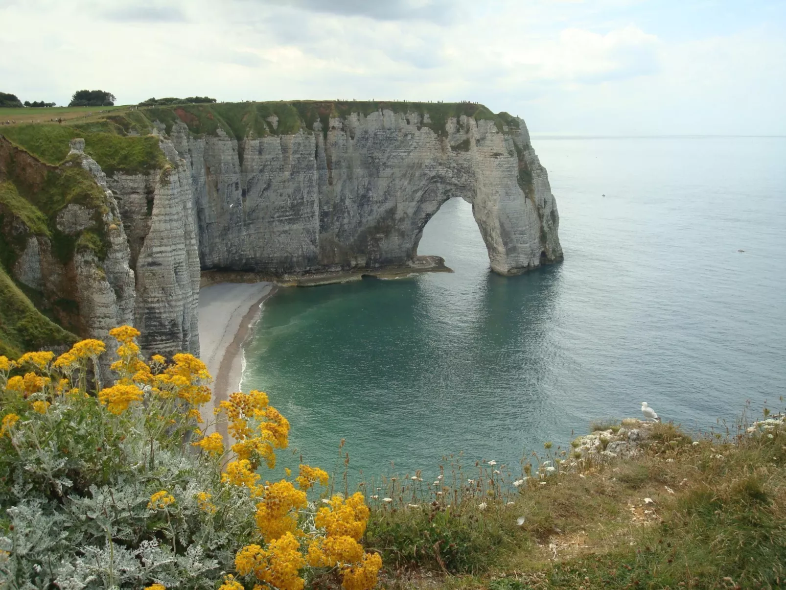 Le Clos du Hêtre-Buiten