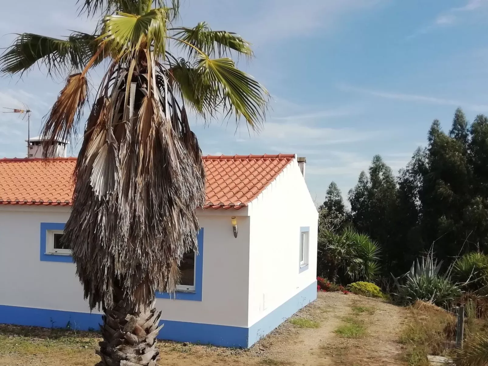 Monte Horizonte Casa Borboleta Öko und Natur-Buiten