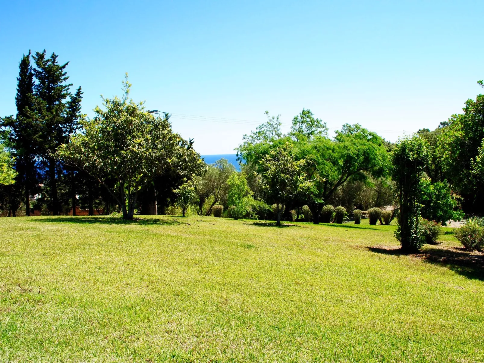 Weingut Punta della Guardia Panorama von Macchia und Meer-Buiten