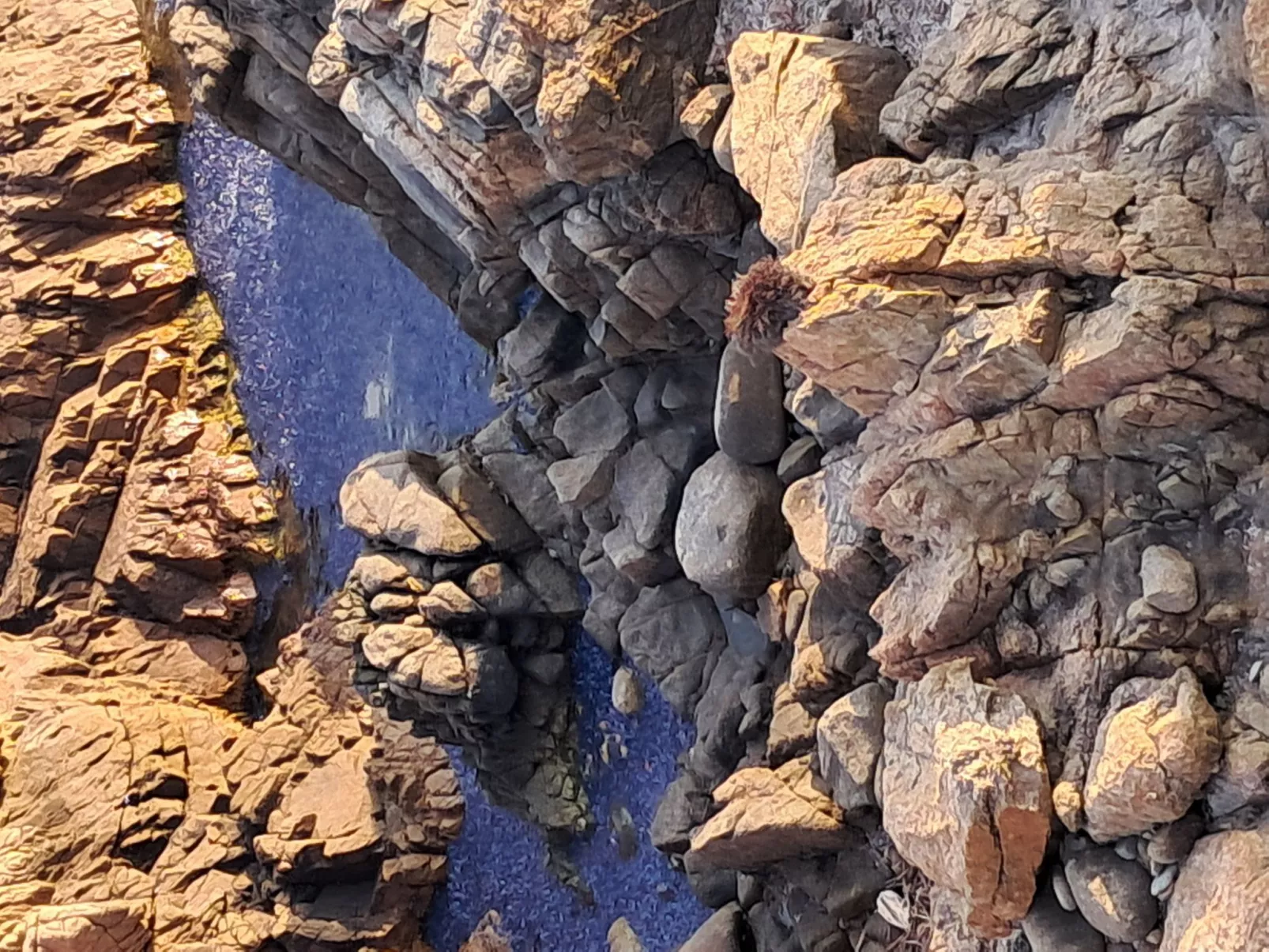 "Casa zinu" mit Blick aufs Meer - Buiten