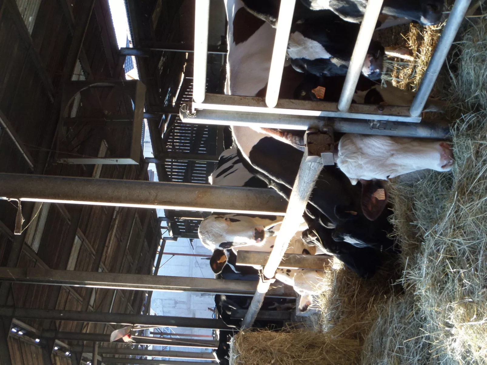 Gite Ferme Baltzinger-Image-tags.info