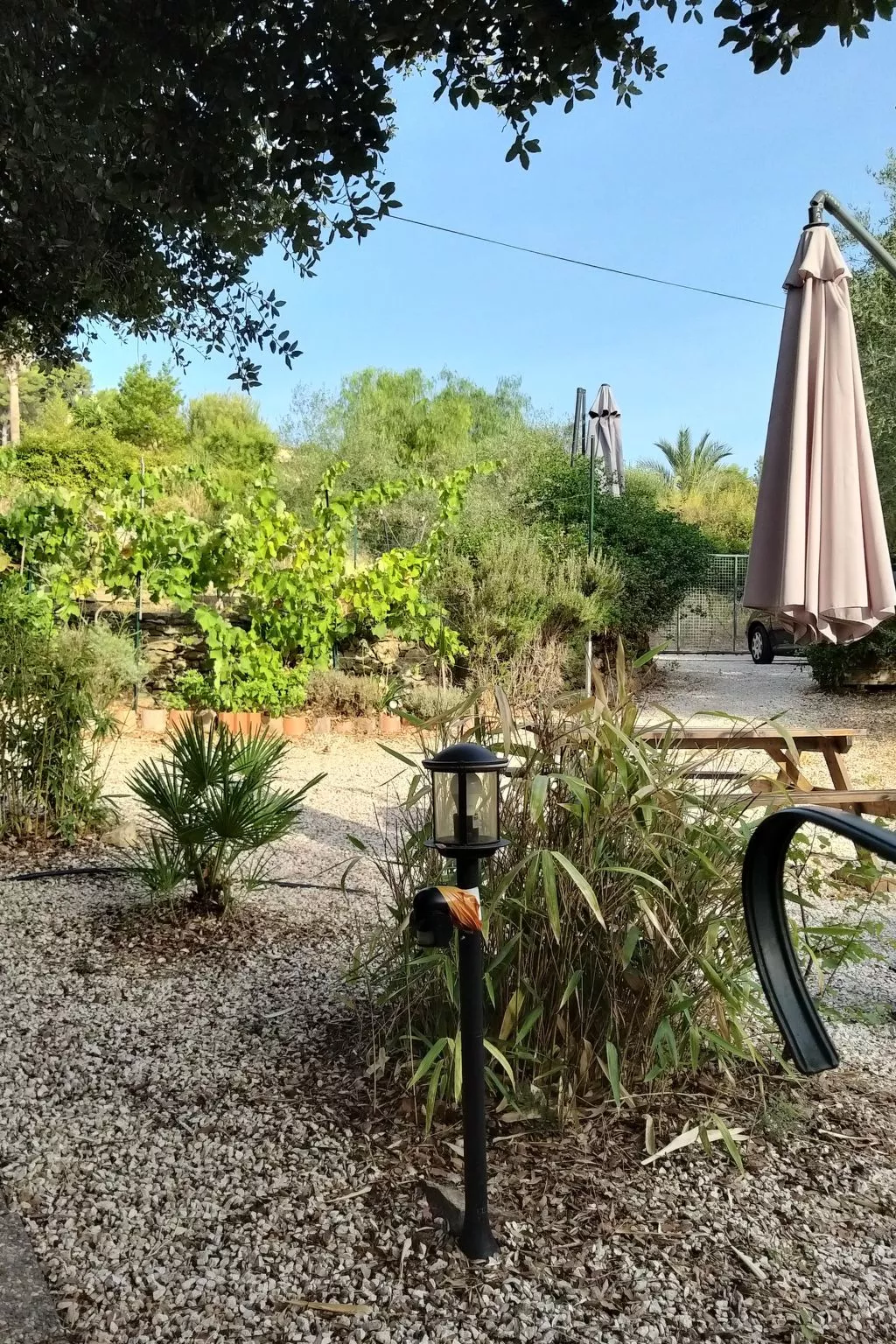 Mit Terrasse, mitten in der Natur-Buiten