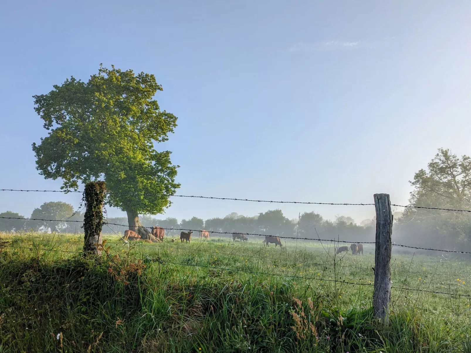 Landgut "La Vacherie" mit Terrasse-Buiten
