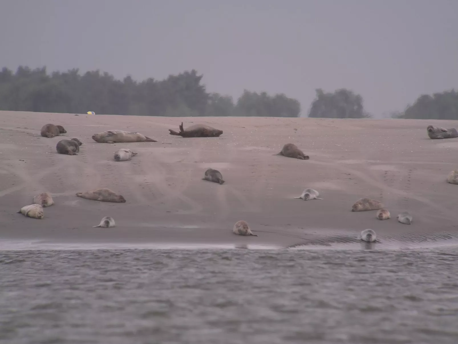 La Grange - alte renovierte Scheune-Image-tags.info