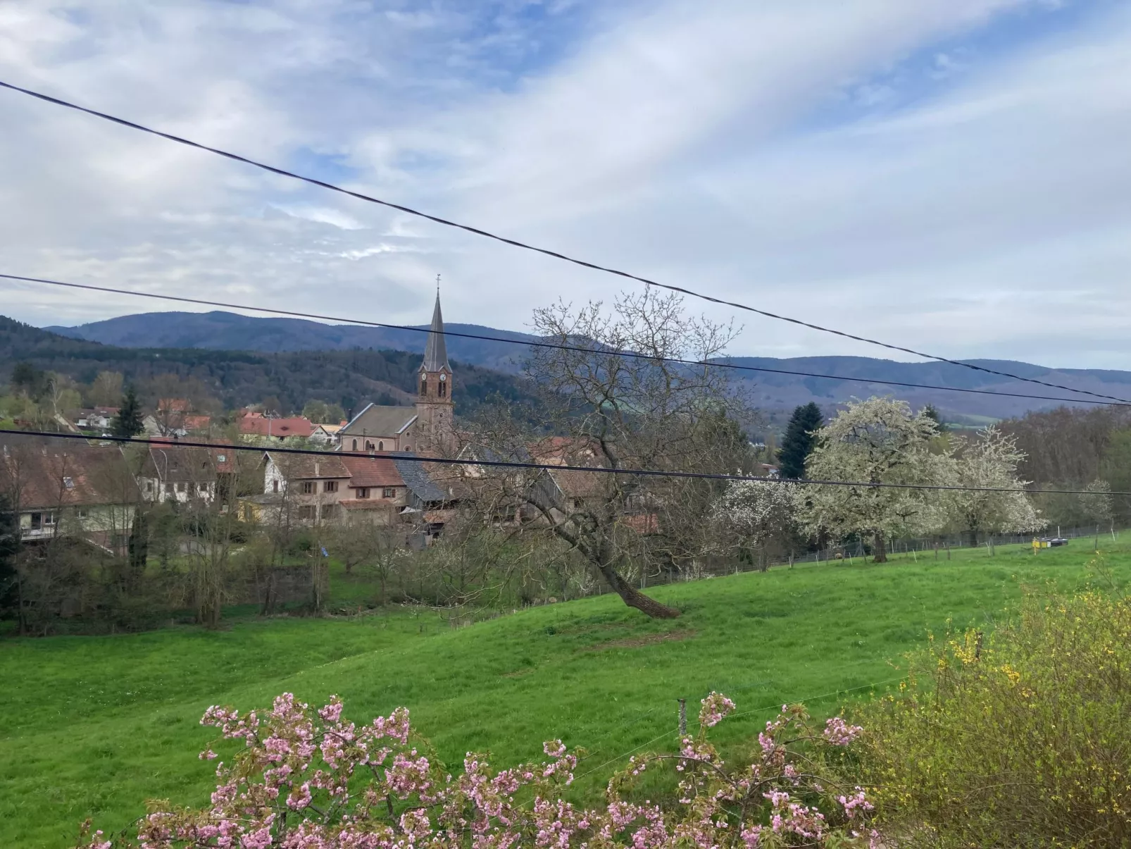 Gite des Cerisiers-Buiten