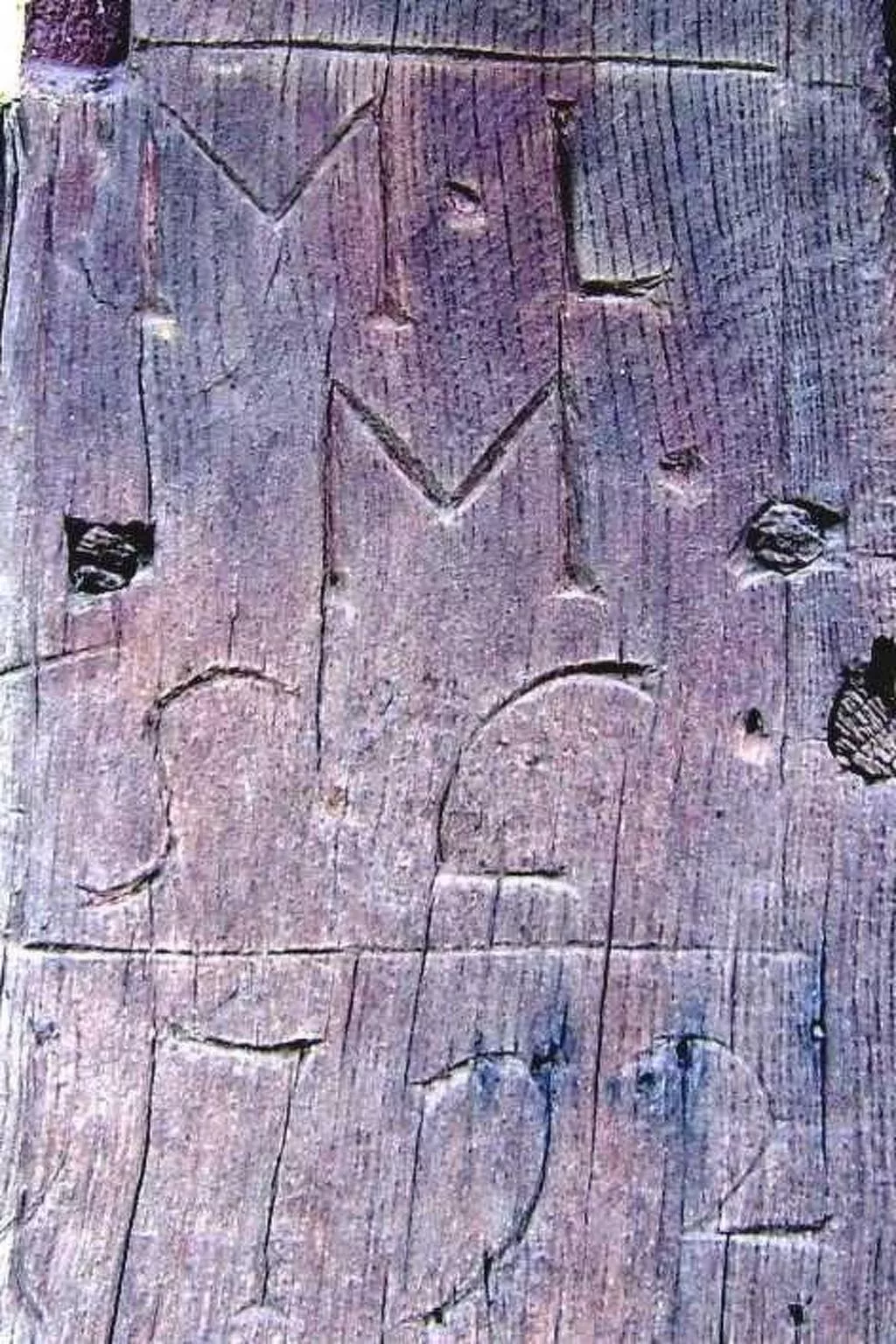 Gite "Sonneblüem un Pfefferminz"-Buiten