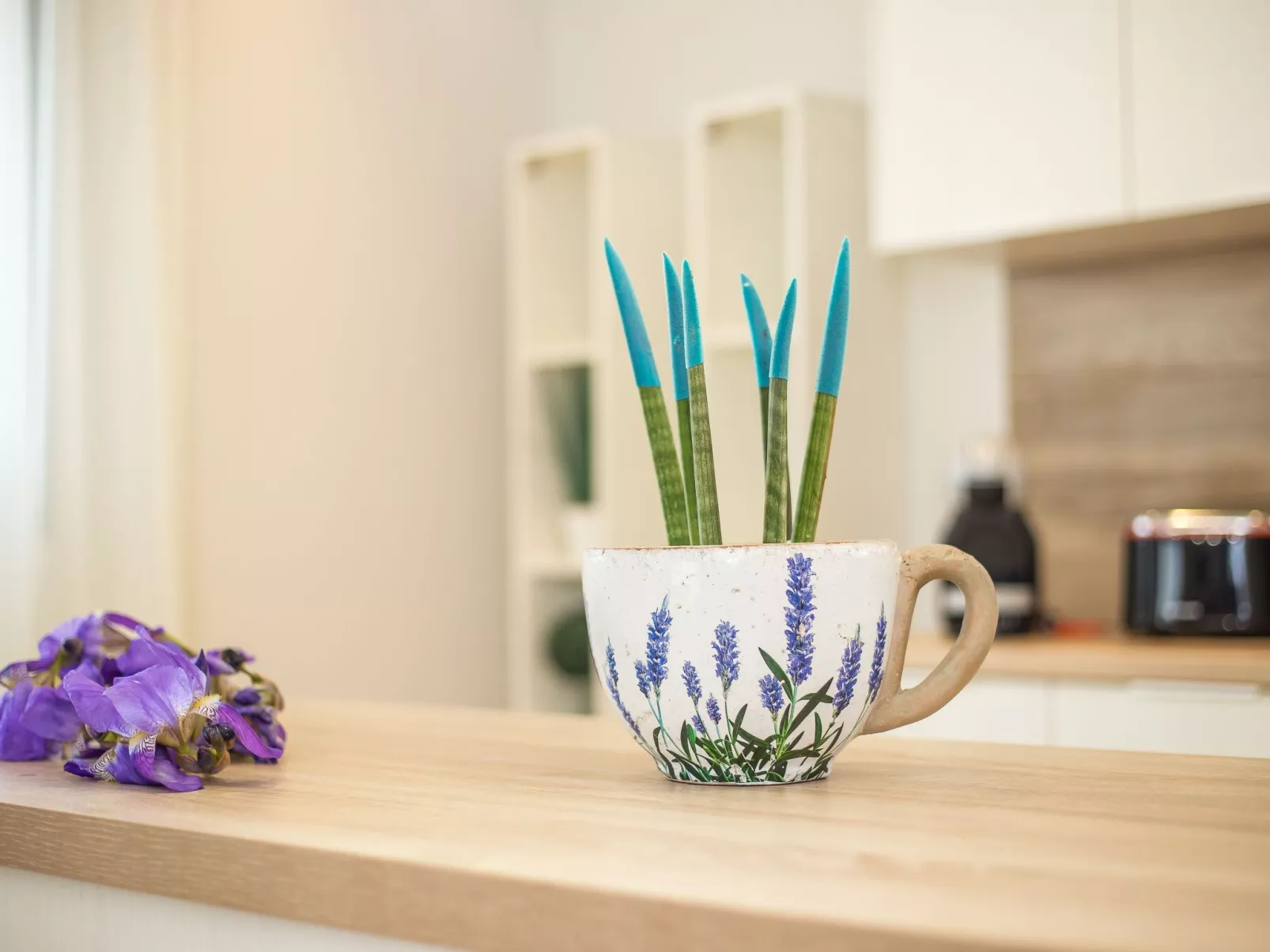 Mit eigenem Garten und Grill-Binnen