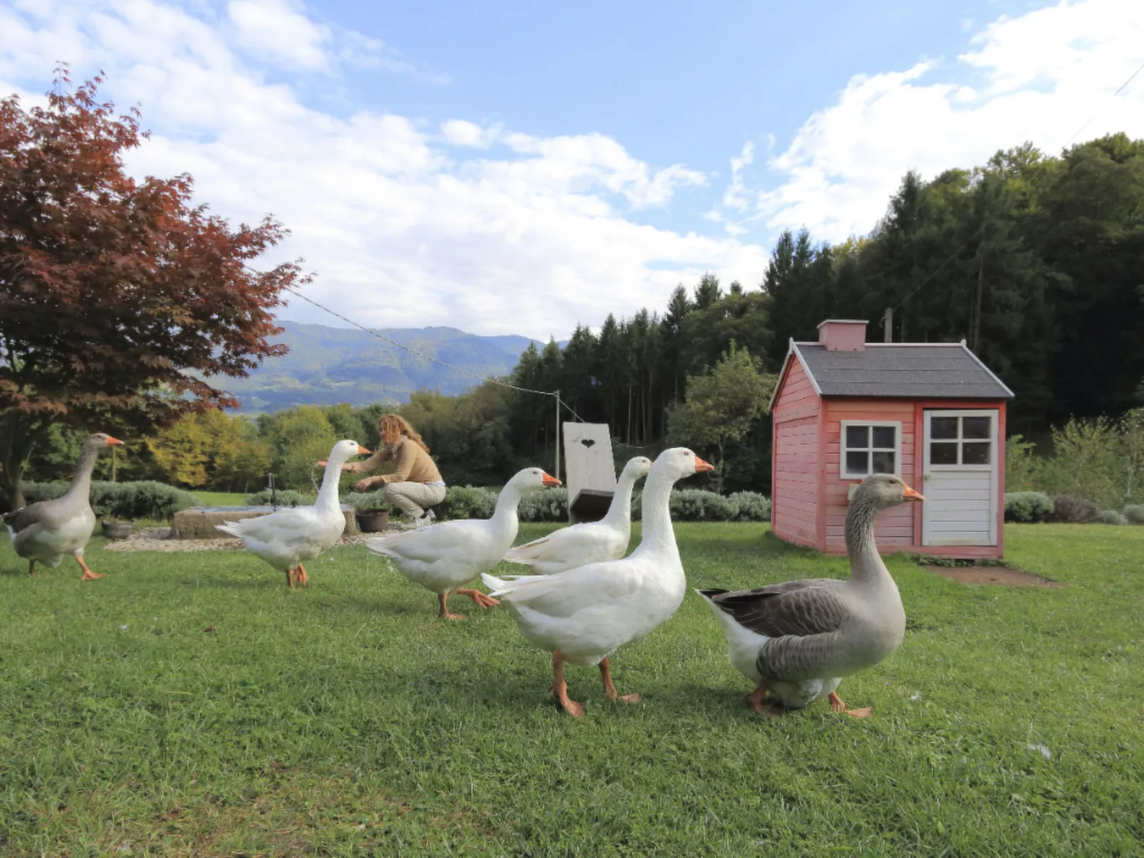 Duck's Cottage für einen Dolomitenurlaub-Buiten