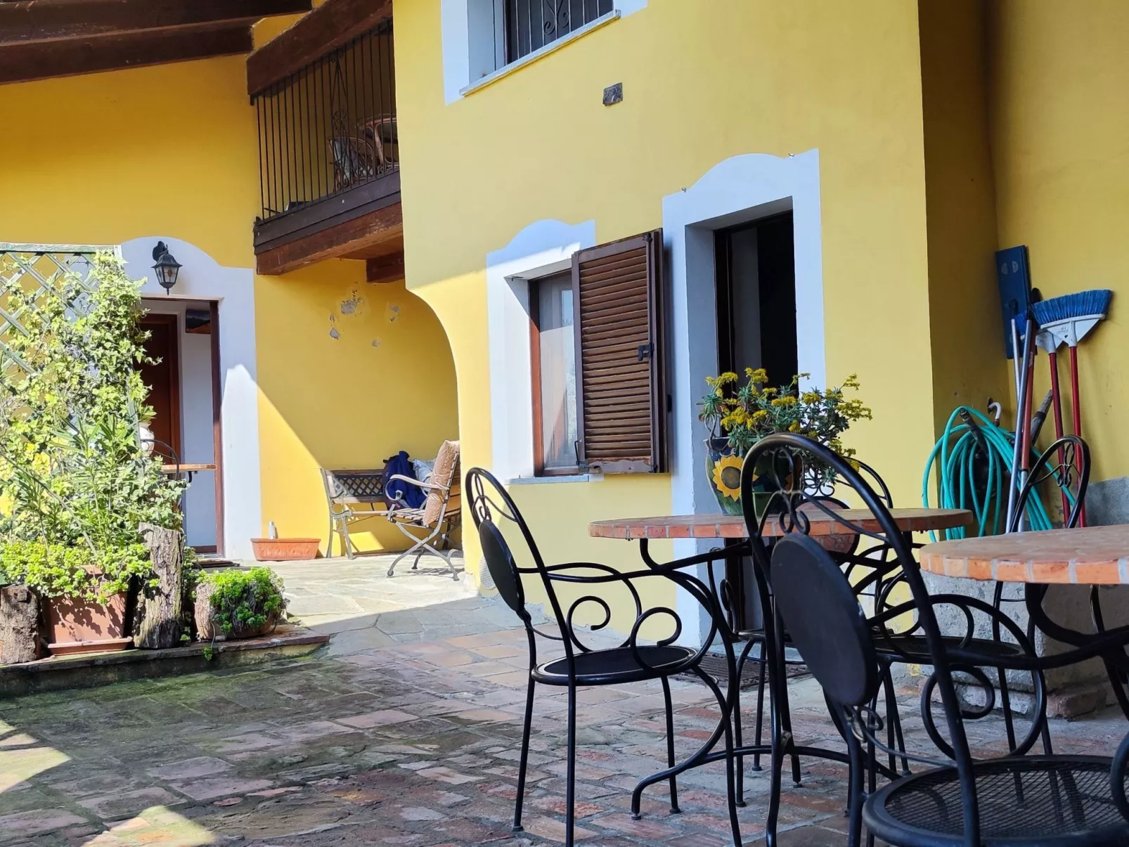 Vergissmeinnicht-Buiten