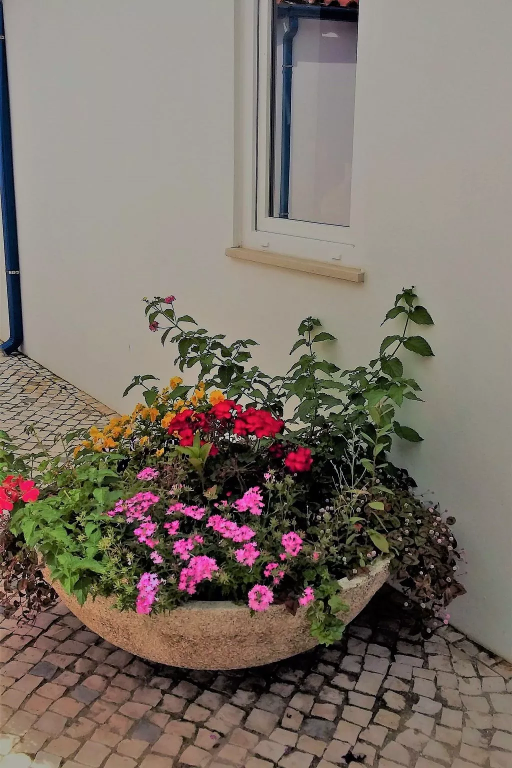 Quinta D'Avó Amélia, wunderschönes Landhaus zwischen den Bergen und dem Meer-Buiten