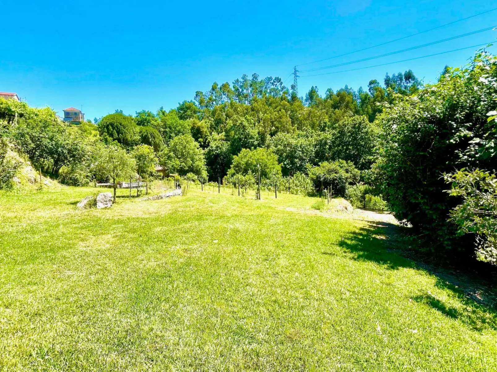 Charmantes Haus in Penafiel Douro-Tal-Buiten