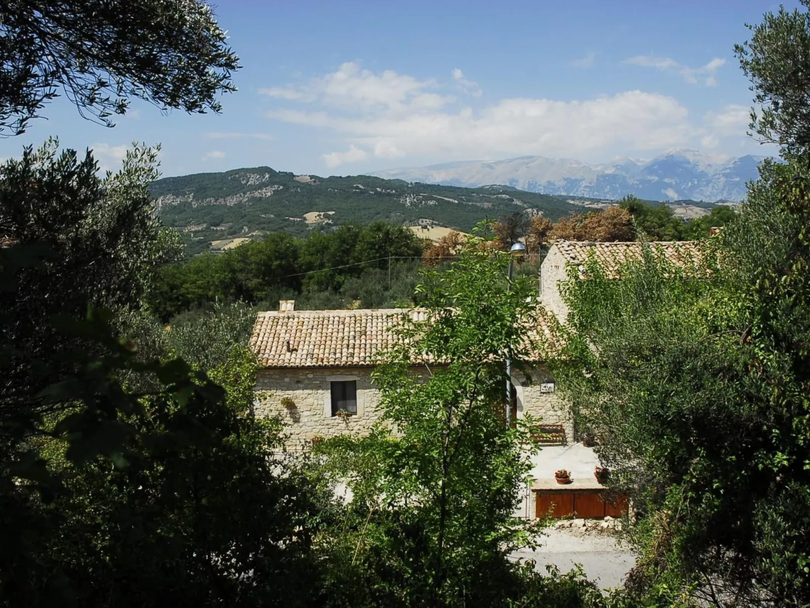 Das Maulbeerbaum-Apartment-Buiten