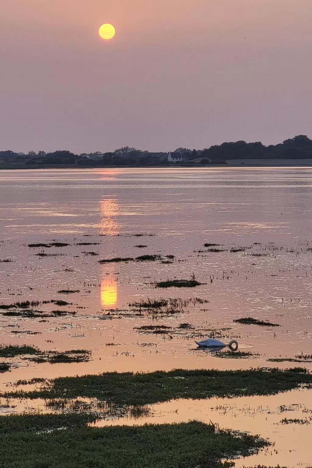 "Les Gites d'Aline"-Buiten