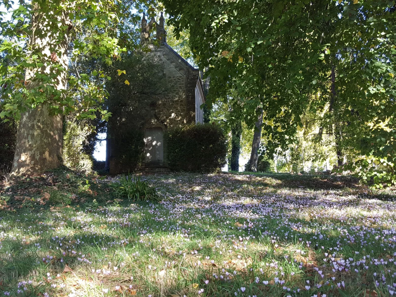 Der Pavillon - im Park des Schlosses Lescaut-Buiten