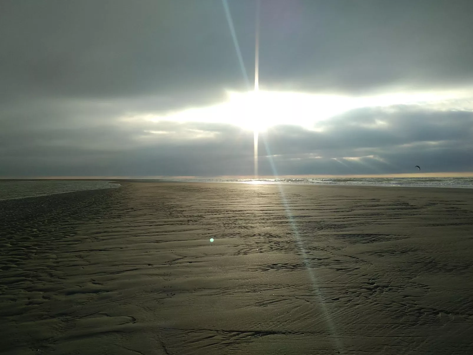 Le Bois aux Ecureuils (Eichhörnchenwald)-Buiten