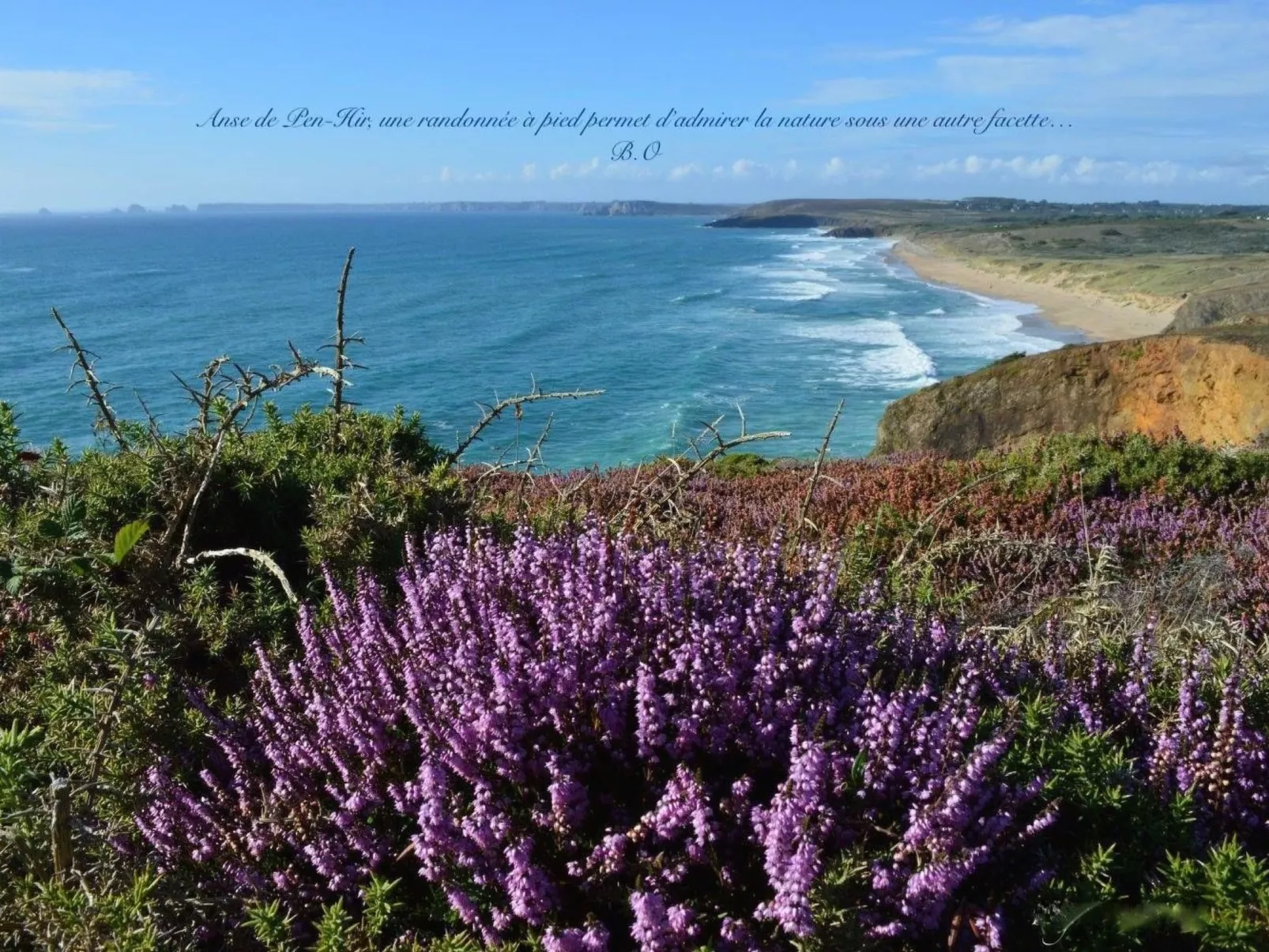 Mit eigenem Garten und Grill-Image-tags.info