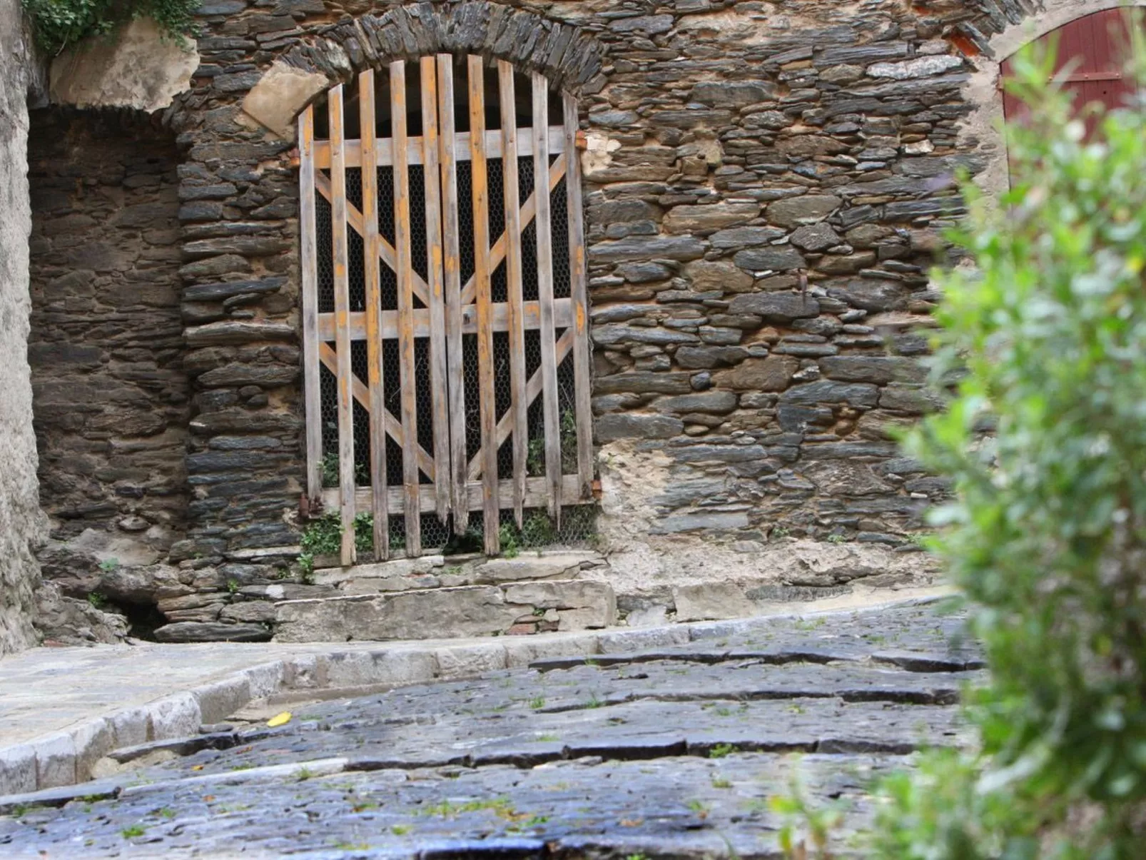 Weingut Punta della guardia zwischen Meer und Gebirge-Buiten