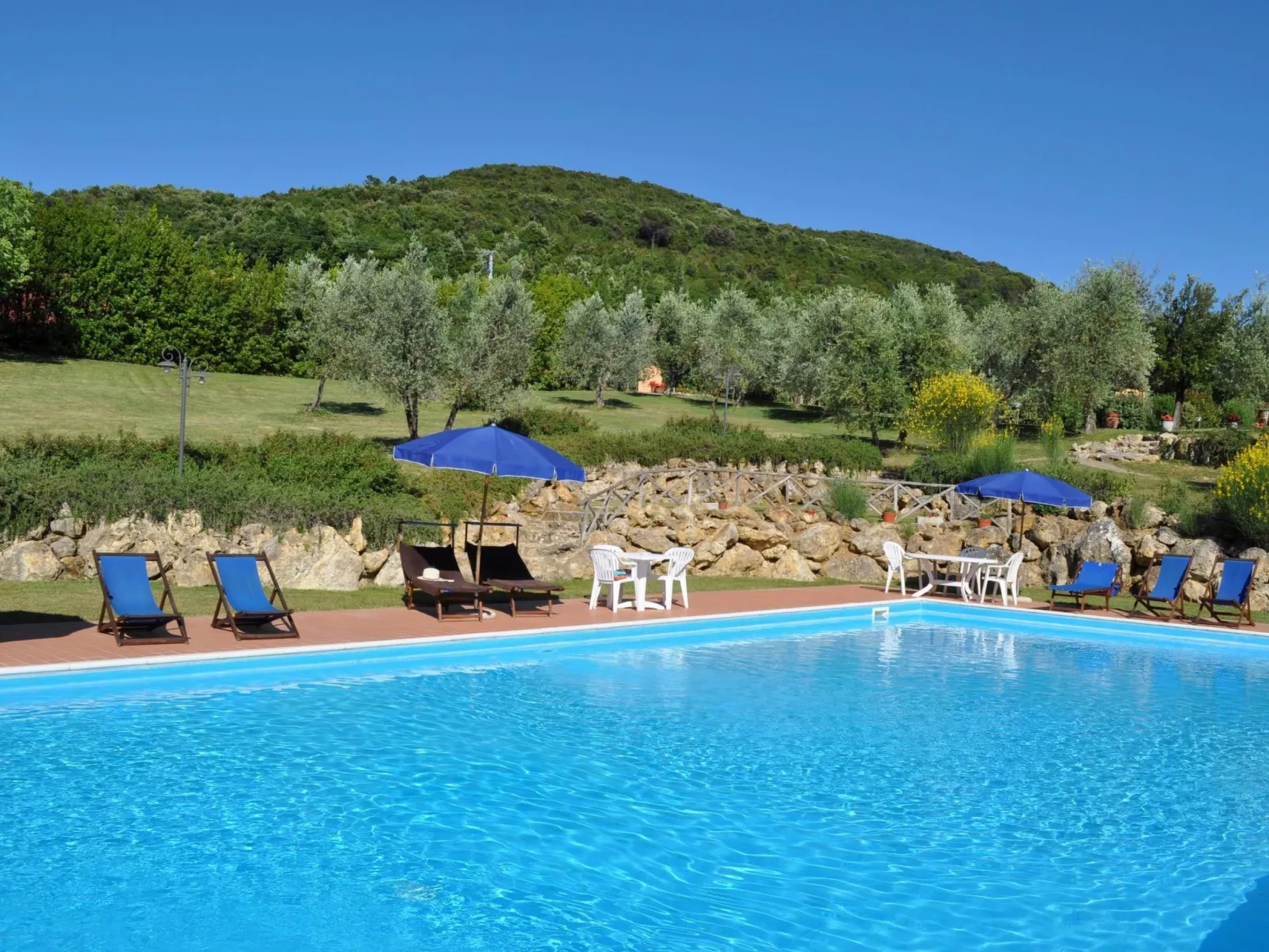 Flach "Madonnino corbezzolo T6-Image-tags.info