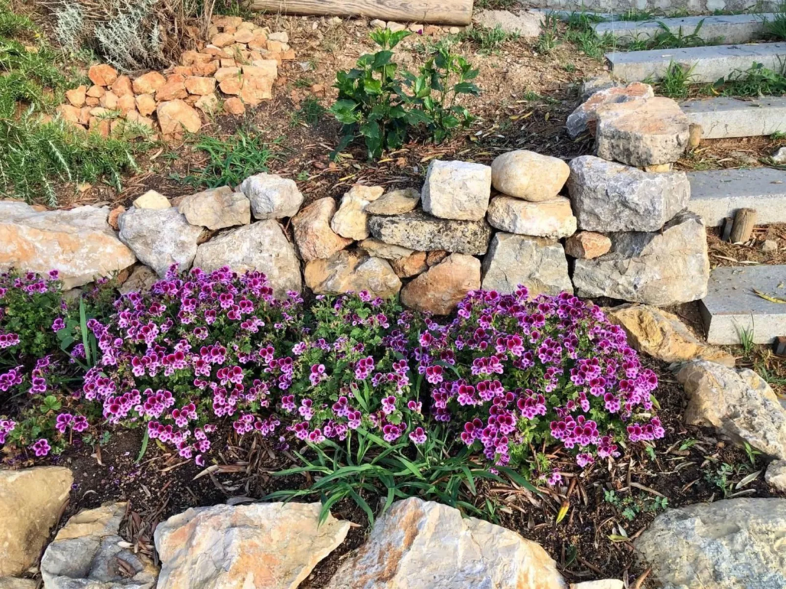 Côte d'Azur ganze Villa beheizter Pool Meerblick-Image-tags.info