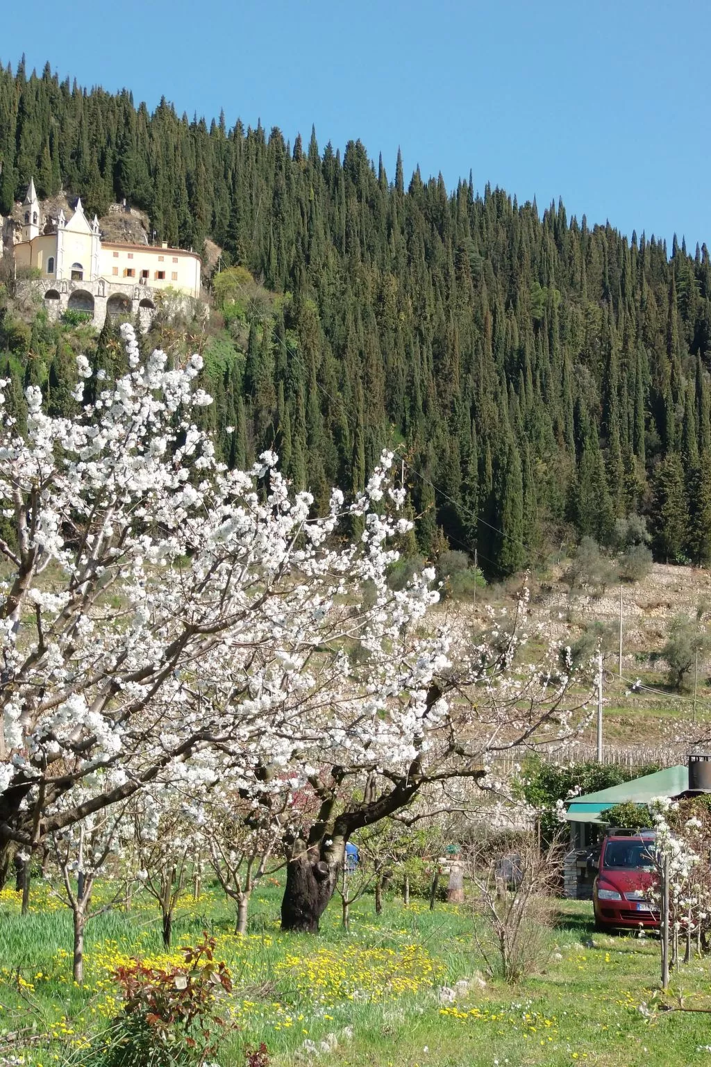 Anwesen mit Garten, Grill und Terrasse-Image-tags.info