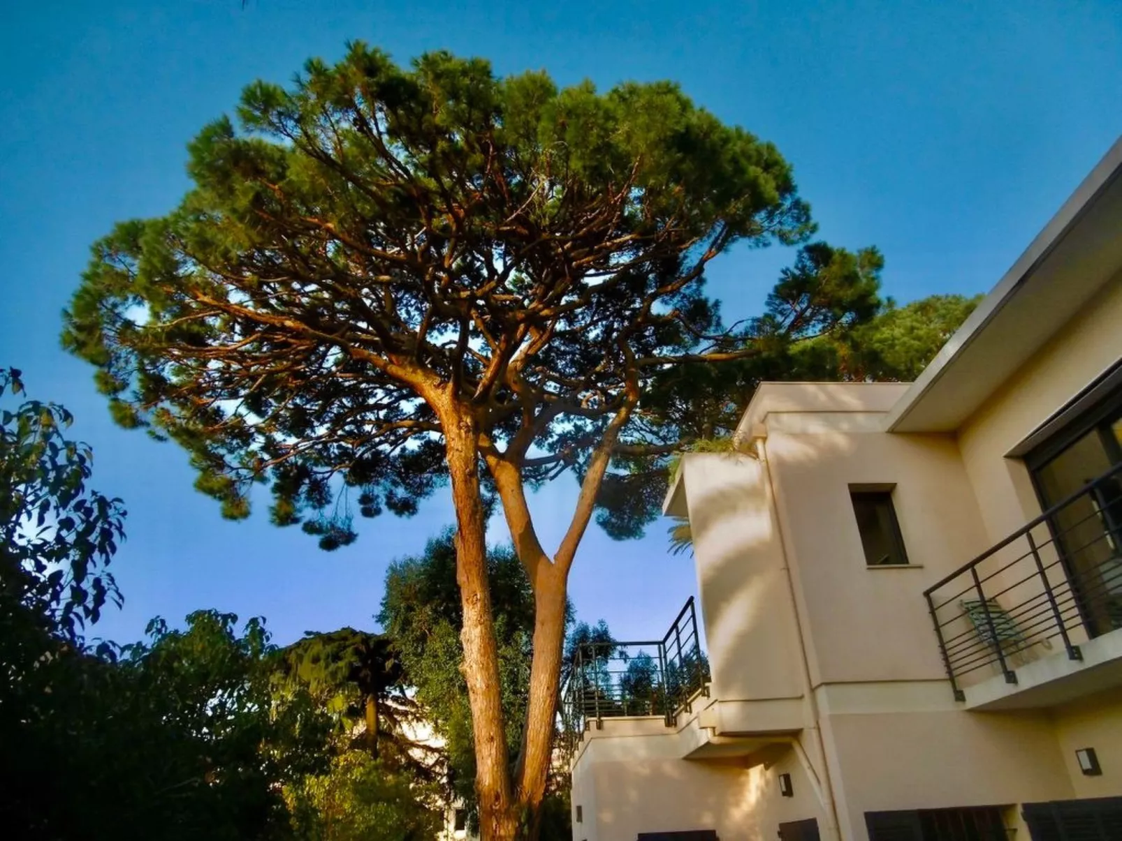 Mascotte Gartenhaus-Buiten